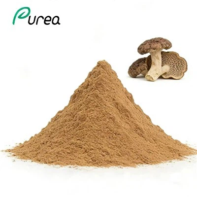 Polvere di estratto di poliporo