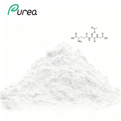 Quali sono i benefici della polvere di radice di curcuma?